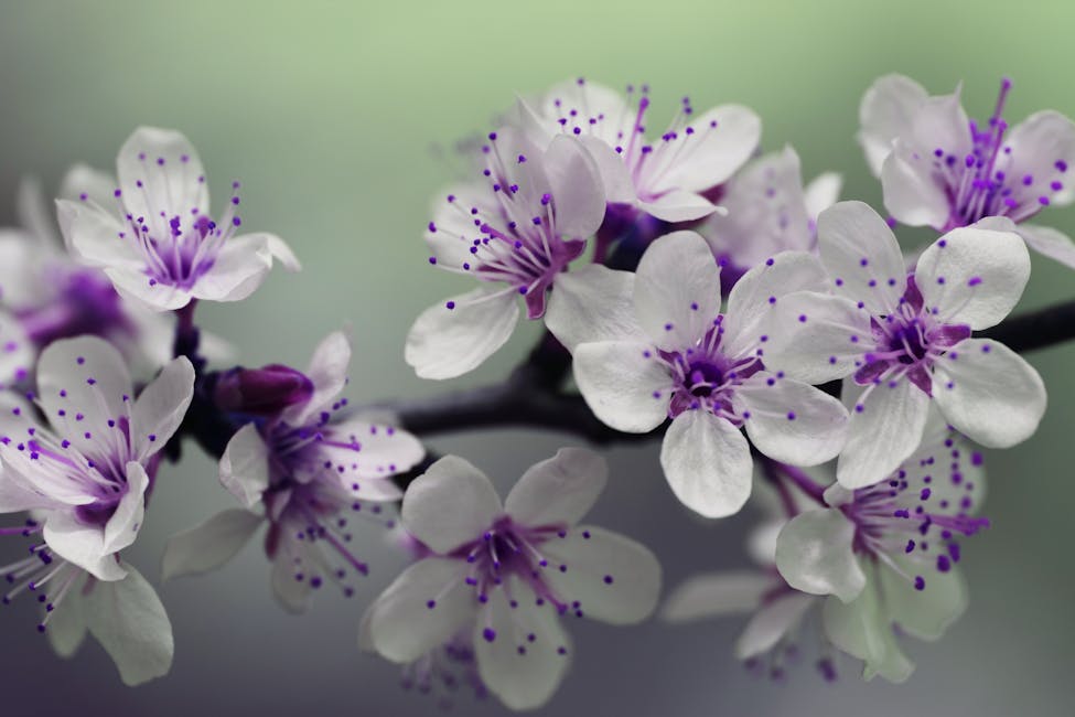 Wohnzimmer durch Pflanzen und Blumen verschönern - so geht's