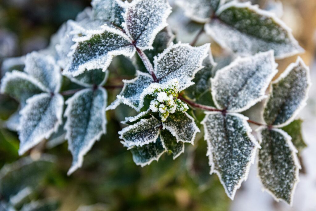 Wie verhindere ich, dass mein Garten im Winter schlammig wird?